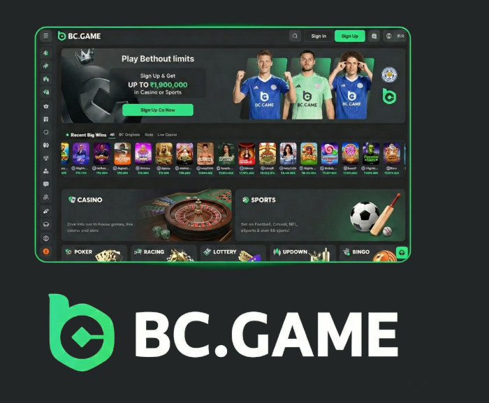 Exploring BC.Game in Poland A New Era of Online Gaming -251743588